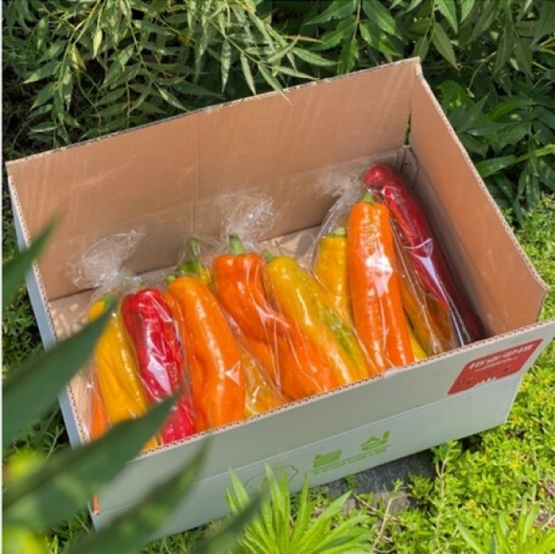 늘싱그러운, 늘싱,늘싱 바나나파프리카 2봉지 부터 스위트 팔레르모